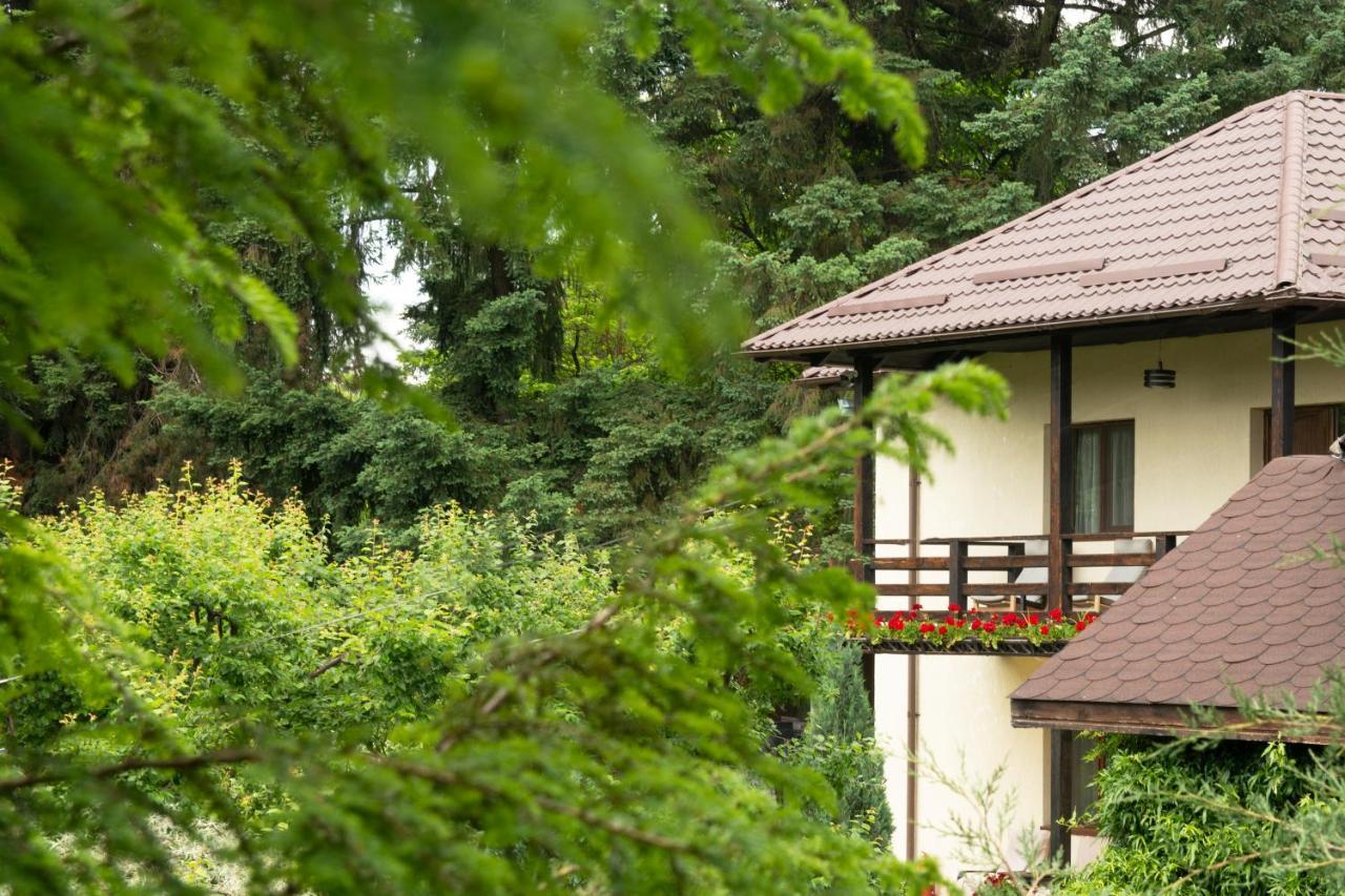 הורזו Pension Andra'S House מראה חיצוני תמונה